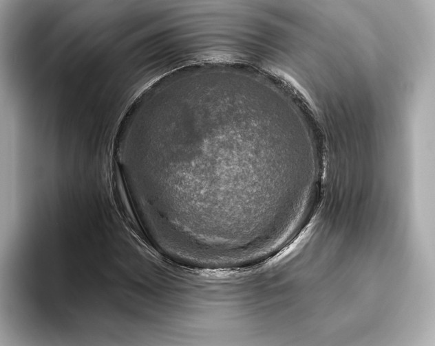 X0000093741065200710161135