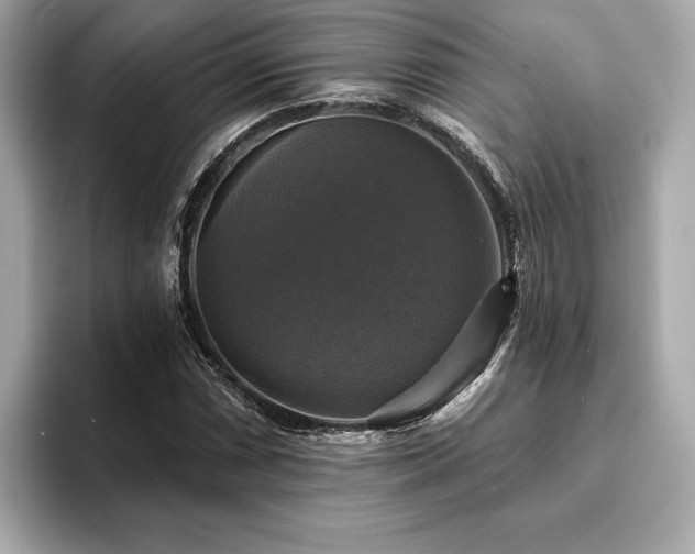 X0000093741066200710161135
