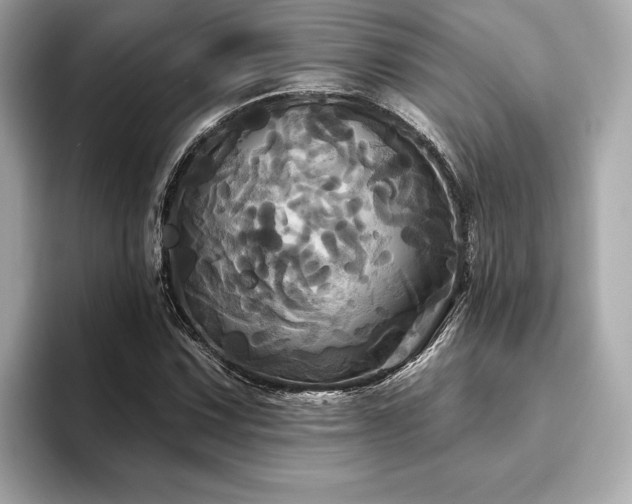 X0000093741067200710161135