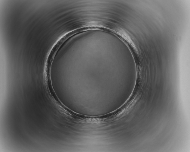 X0000093741068200710161135