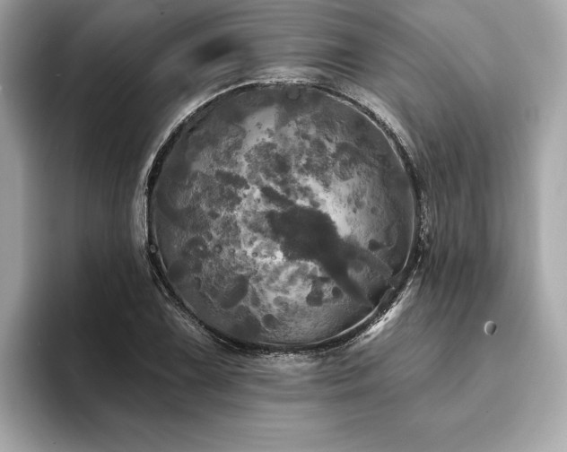 X0000093741075200710161135
