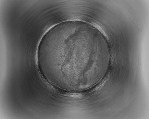 X0000093741076200710161135