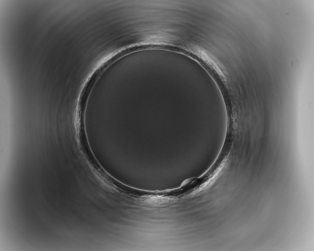 X0000093741077200710161135