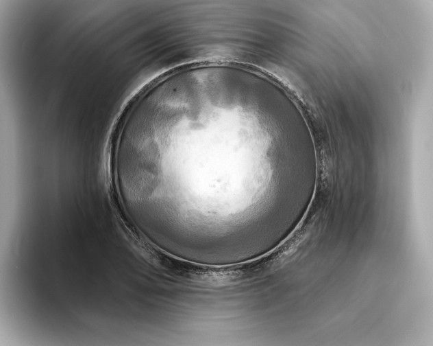 X0000093741078200710161135
