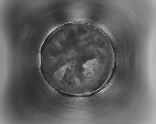 X0000093741079200710161134