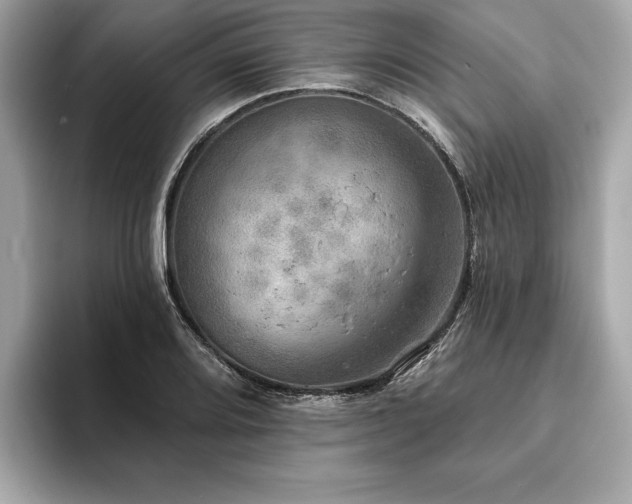 X0000093741080200710161134