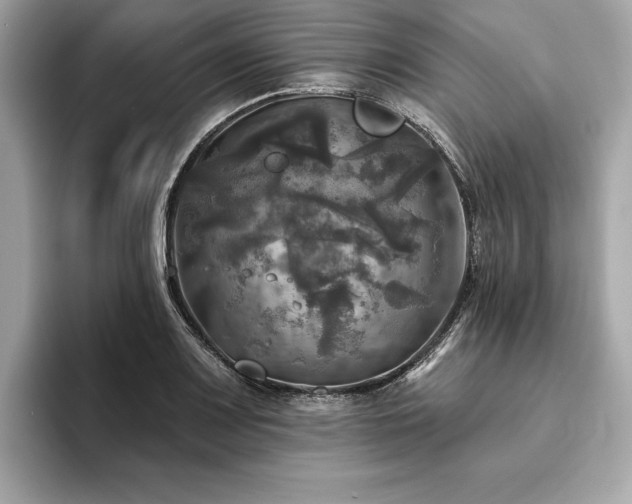 X0000093741083200710161134