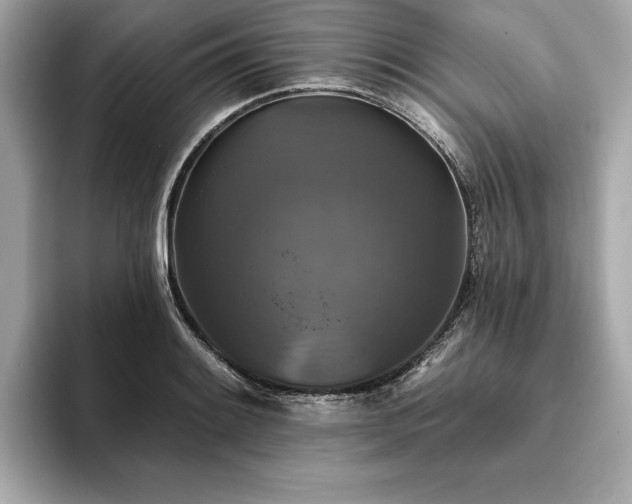 X0000093741084200710161134