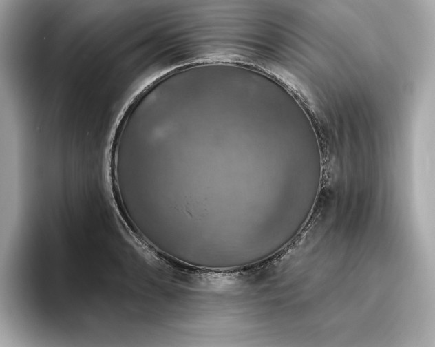 X0000093741086200710161134