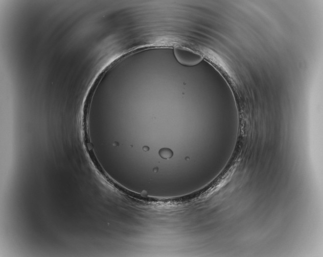 X0000093741087200710161134