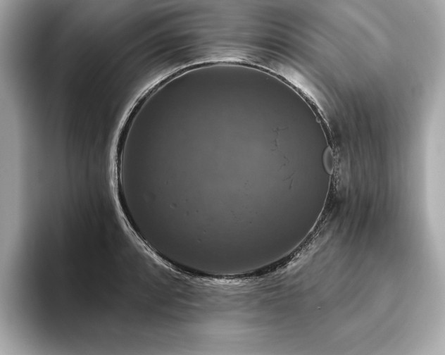 X0000093741088200710161134