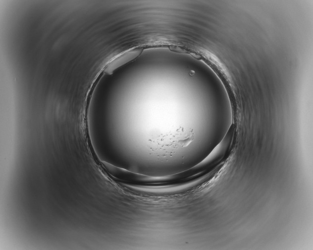 X0000093741089200710161134