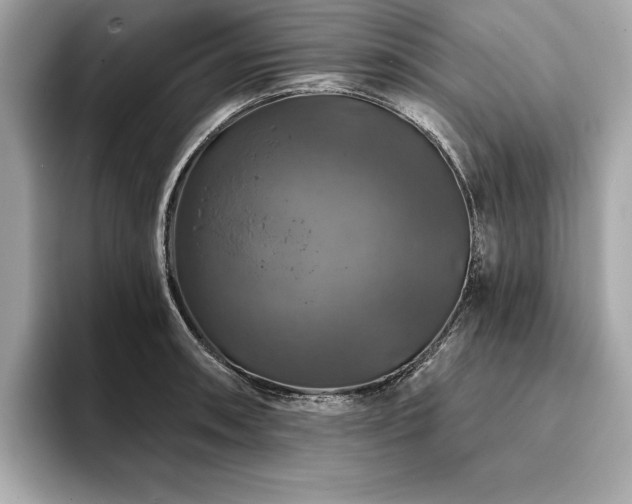 X0000093741090200710161134