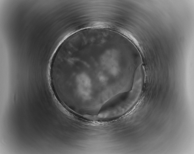 X0000093741091200710161134