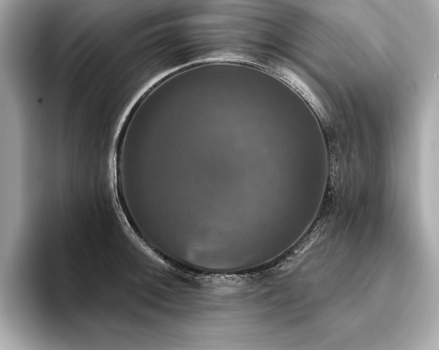 X0000093741092200710161134