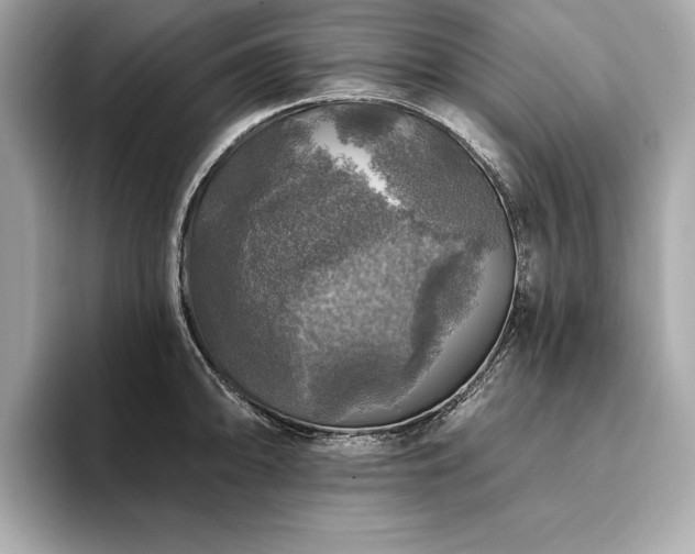 X0000093741094200710161134