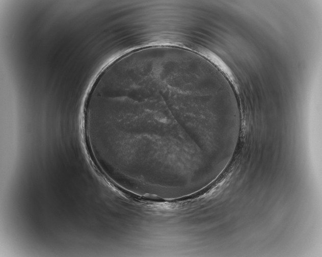 X0000093741096200710161134