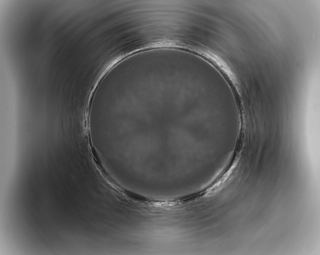 X0000093741097200710161134