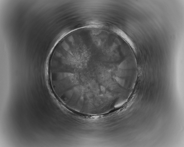 X0000093741099200710161134