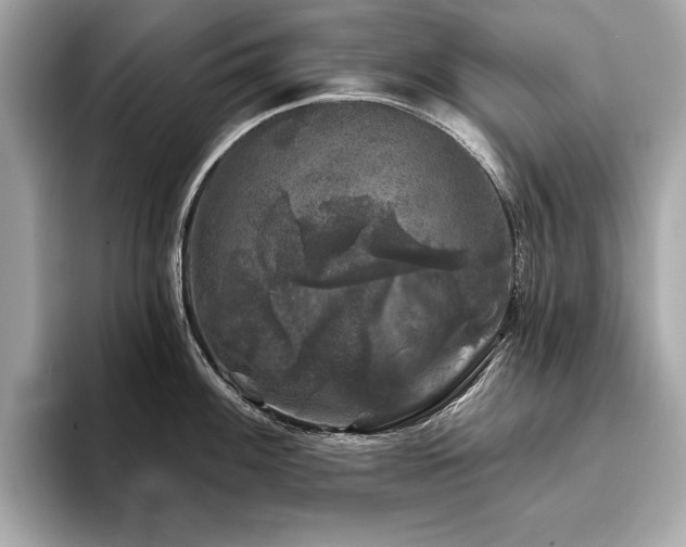 X0000093741100200710161134