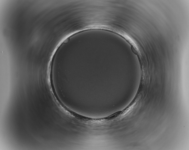 X0000093741102200710161134
