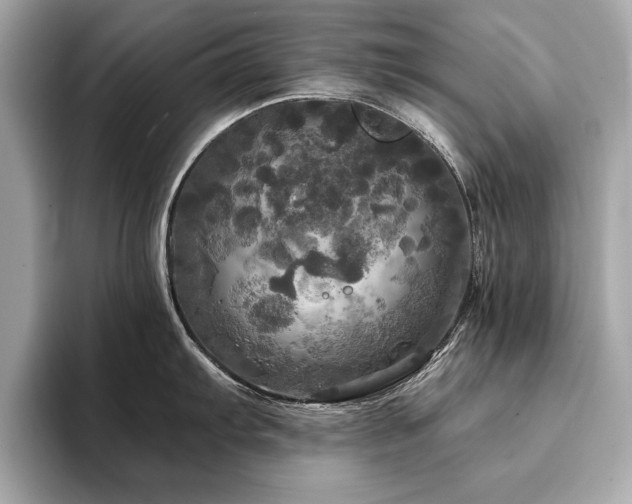 X0000093741103200710161134