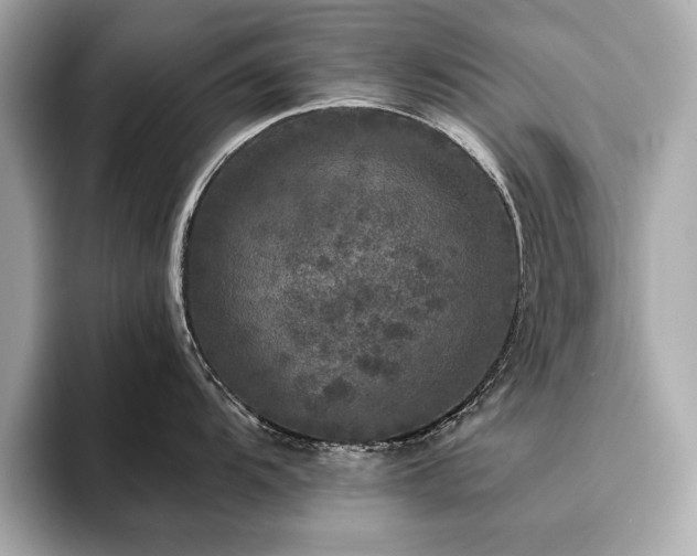 X0000093741104200710161134