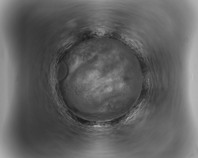X0000093741105200710161134