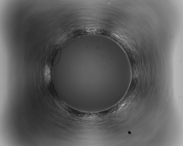 X0000093741106200710161134