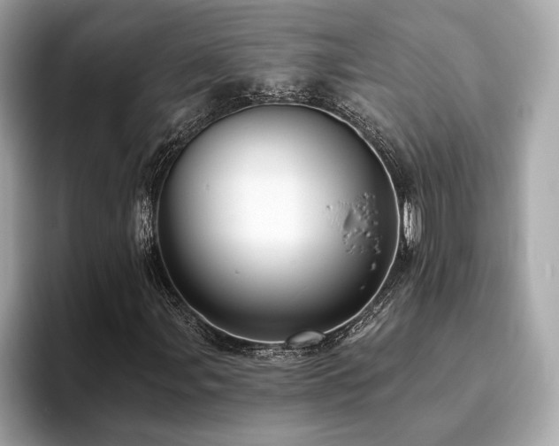 X0000093741107200710161134