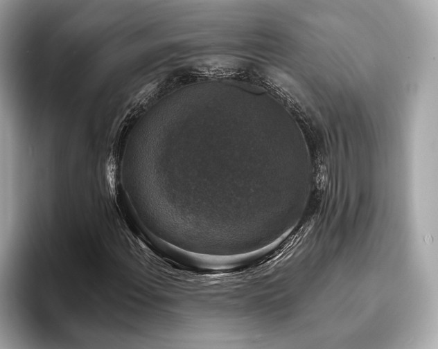 X0000093741108200710161134
