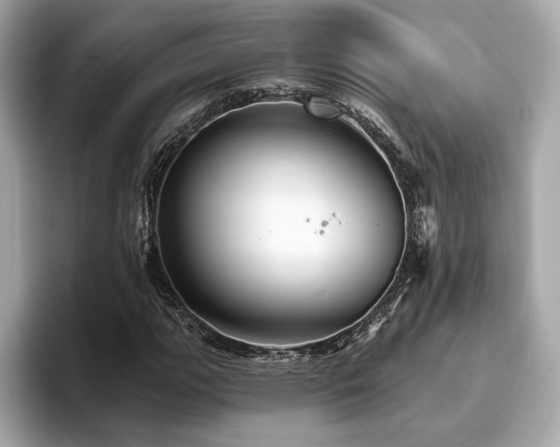 X0000093741111200710161134