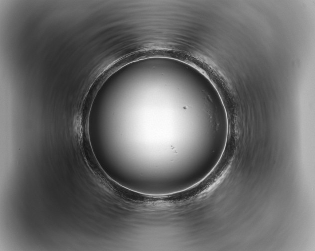 X0000093741113200710161134