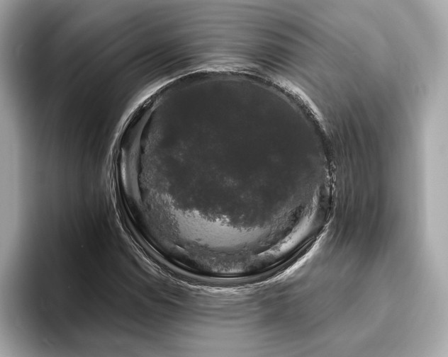 X0000093741114200710161134