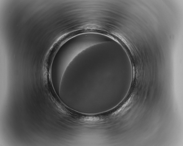 X0000093741115200710161134