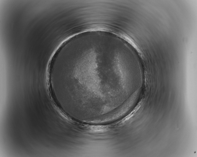 X0000093741116200710161134