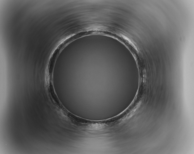 X0000093741117200710161134
