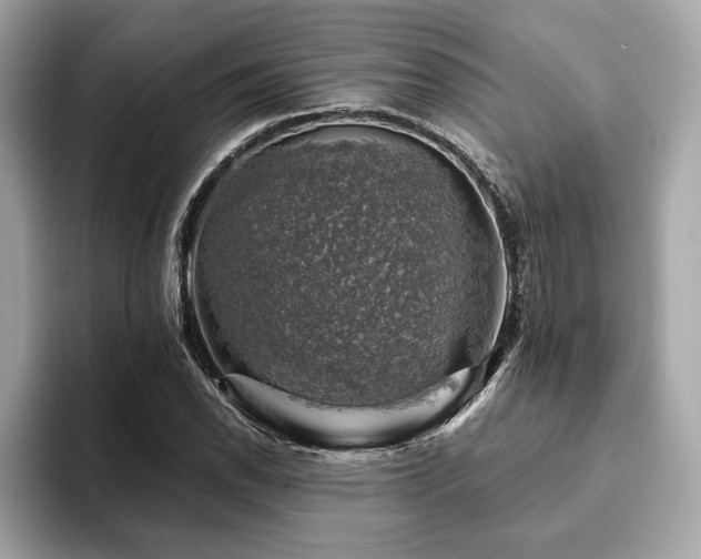X0000093741118200710161134