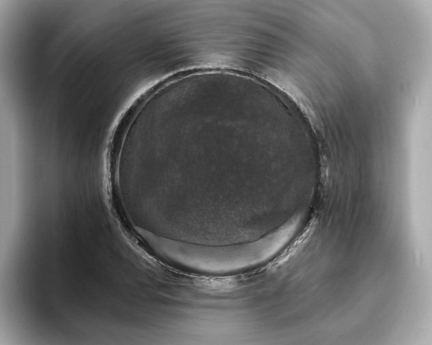 X0000093741120200710161134