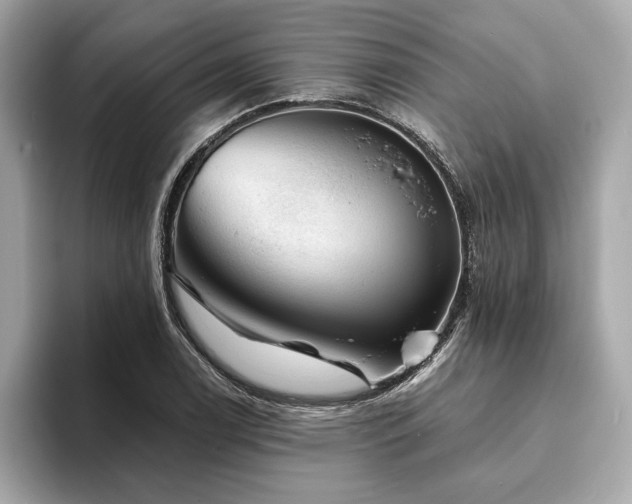 X0000093741122200710161134