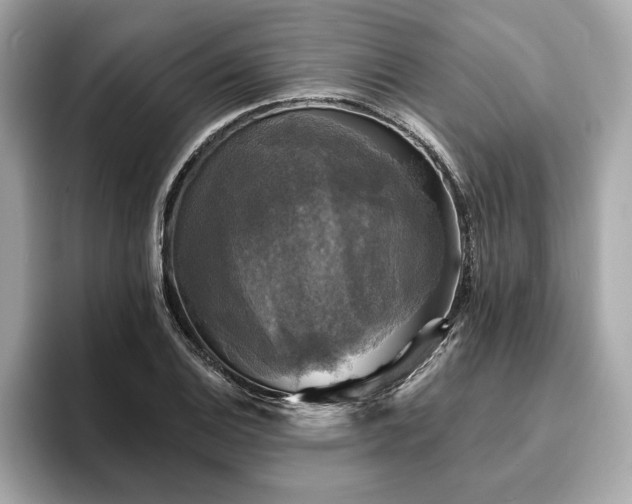 X0000093741124200710161134