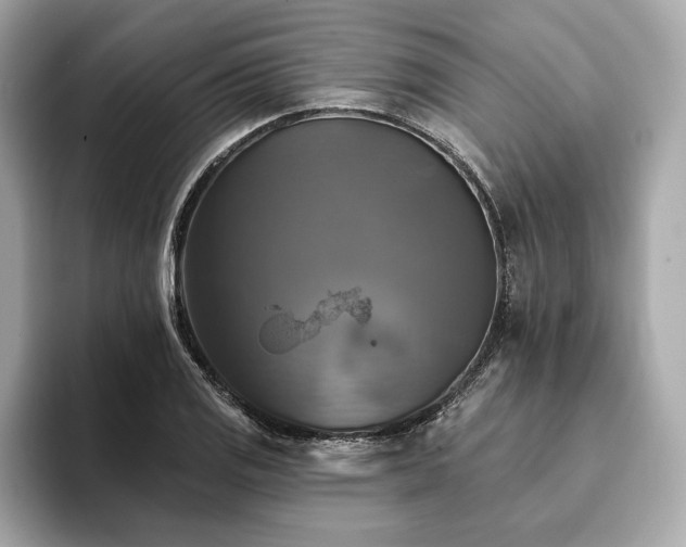 X0000093741125200710161134