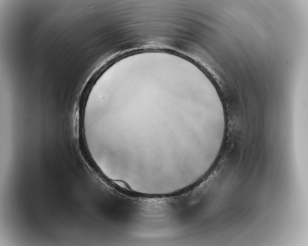X0000093741126200710161134