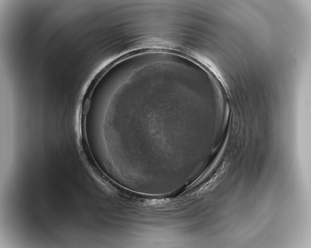 X0000093741128200710161134