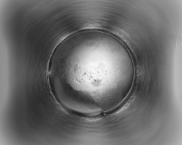 X0000093741129200710161134