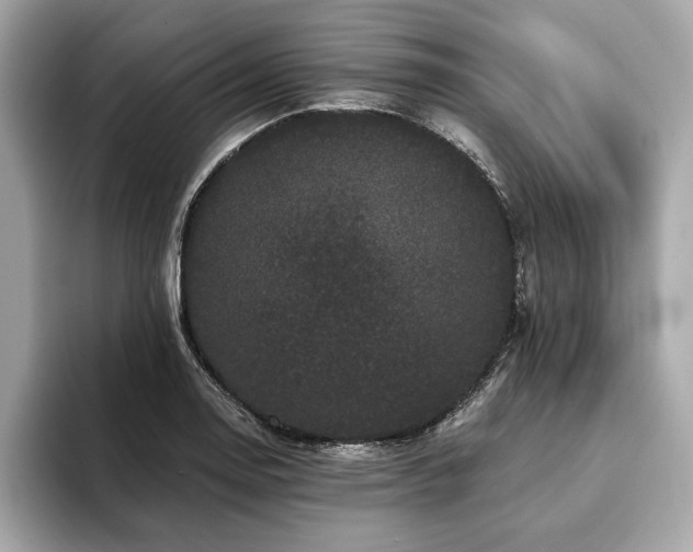 X0000093741130200710161134