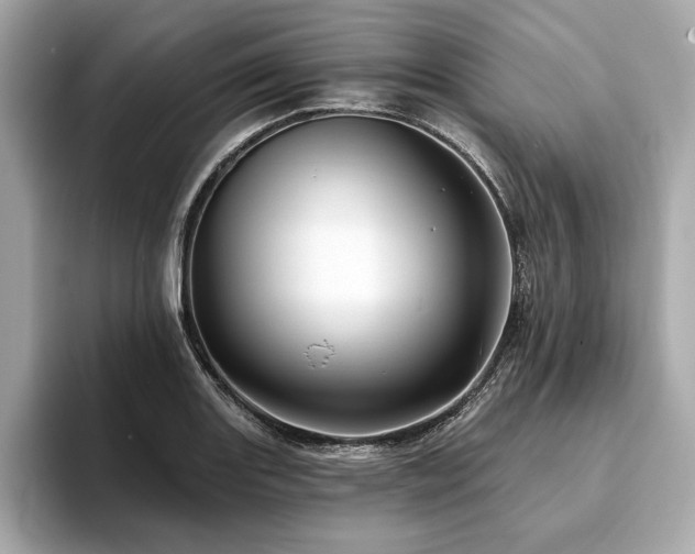 X0000093741131200710161134