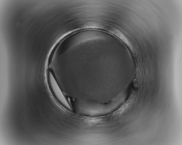 X0000093741132200710161134