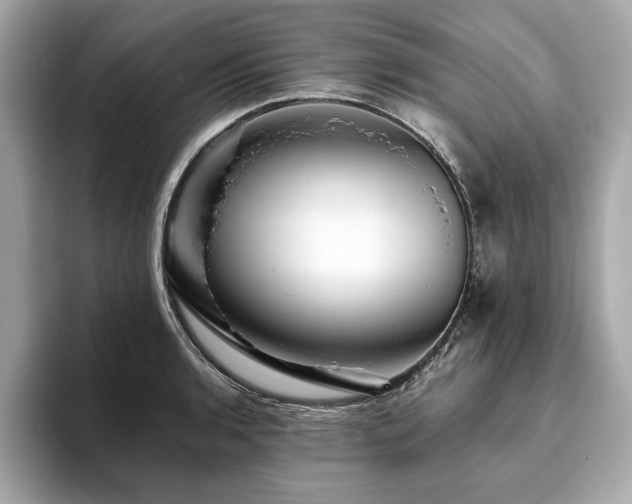 X0000093741136200710161134