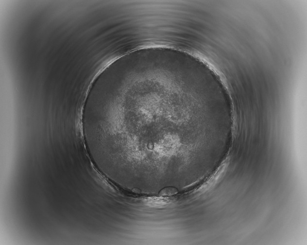 X0000093741137200710161134